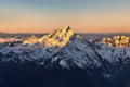 Golden Summit Majesty | Himalayan Series | Poster
